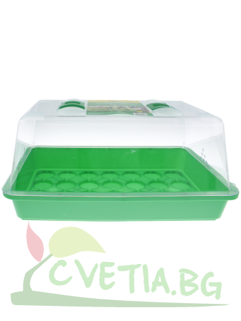 Мини Оранжерия